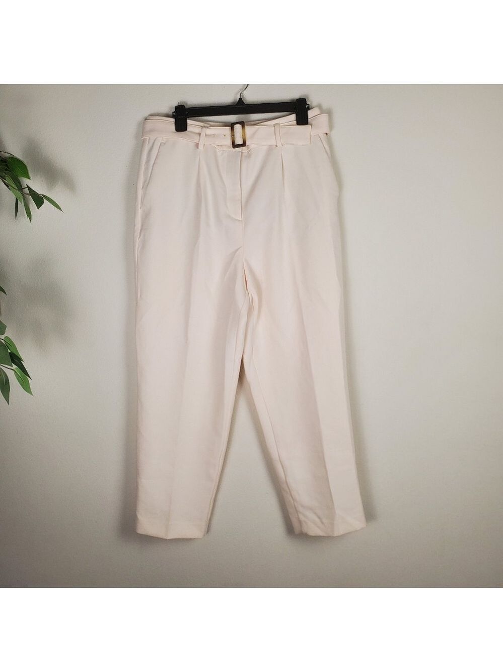 Ann Taylor Cream Pink High Waisted Trousers Slacks Size 10